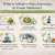 Asbab-e-Sitta Zarooriya: The Six Essential Needs for Holistic Health (Unani Lifestyle Guide)