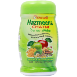 HAZMEENA CHATNI